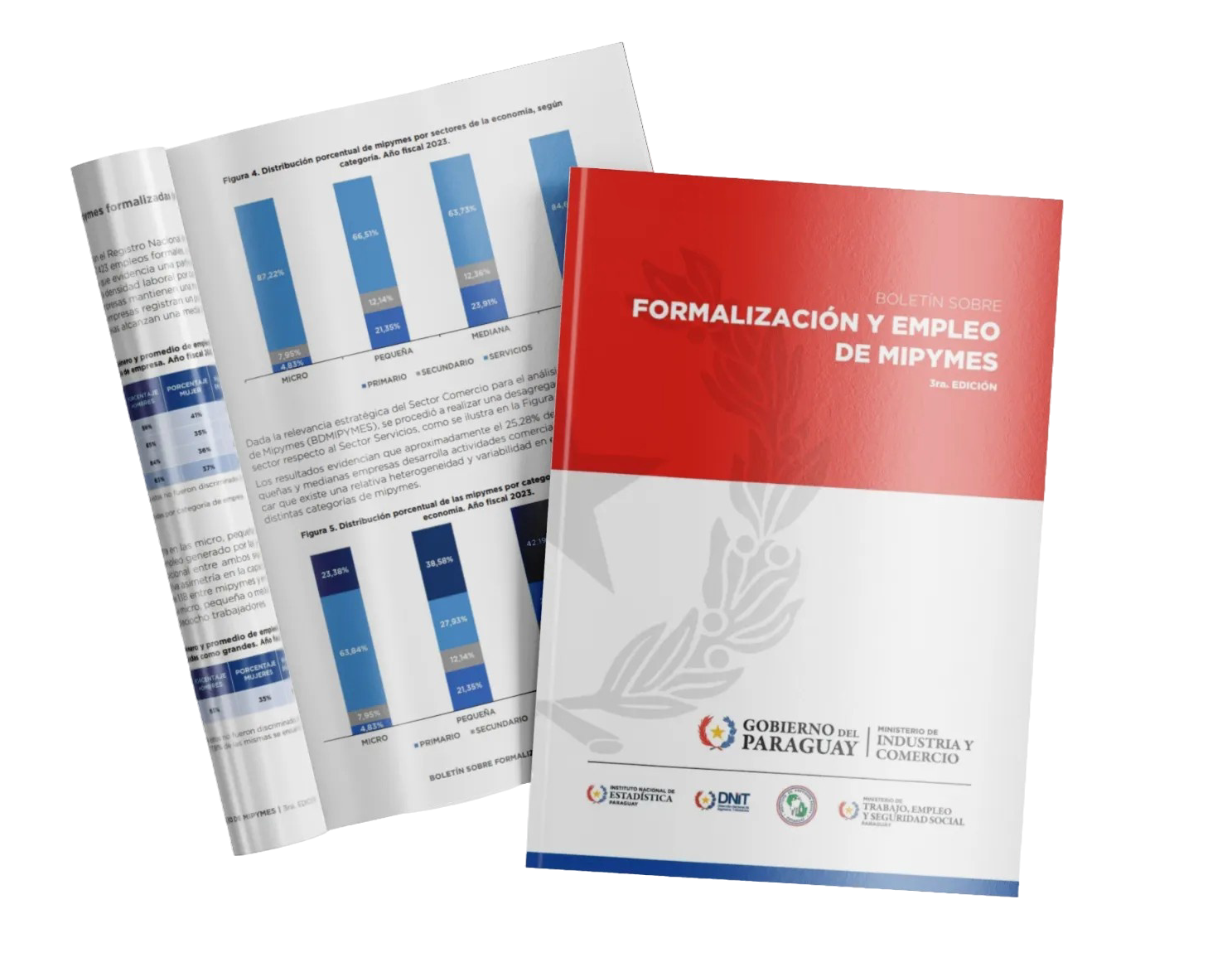 Imagen ilustrativa del boletín MIPYMES